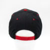 Snapback-Heimatliebe-Tiroler-Adler-rot-schwarz-hinten-aewerbetechnik